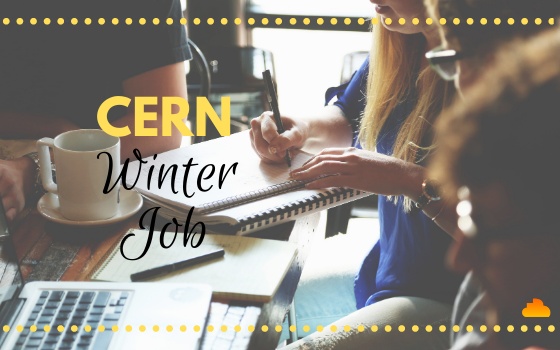 CERN Winter Job